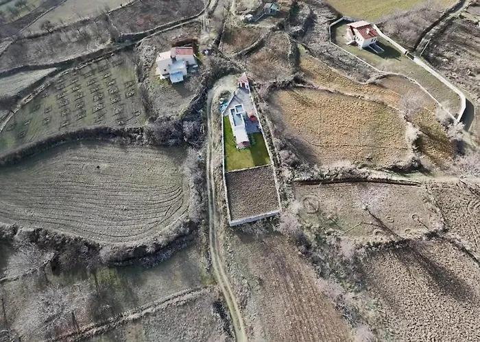 The House In The Nature