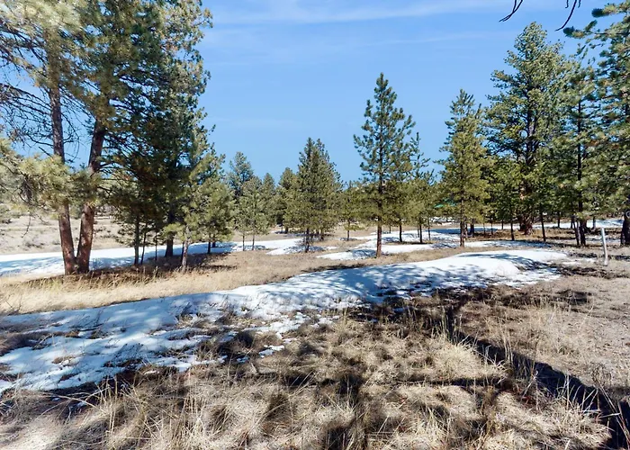 Tranquil Wet Mtn Cabin W/ Views On 3 Acres!
