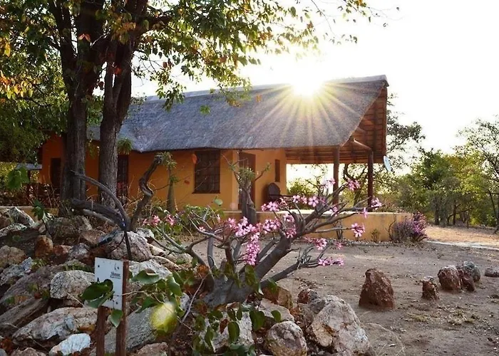 Bushvilla'S Silonque