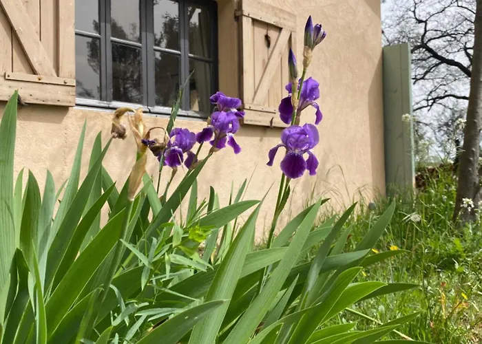 Studio De L'Oliveraie