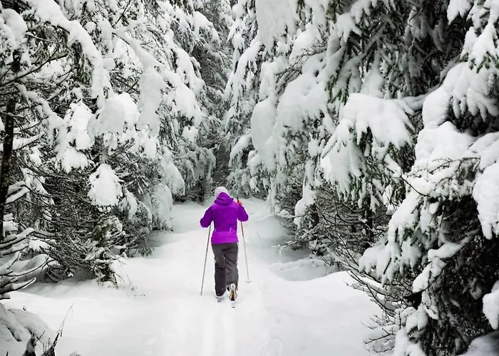 Cozy Val Disere Chalet Steps Into Town