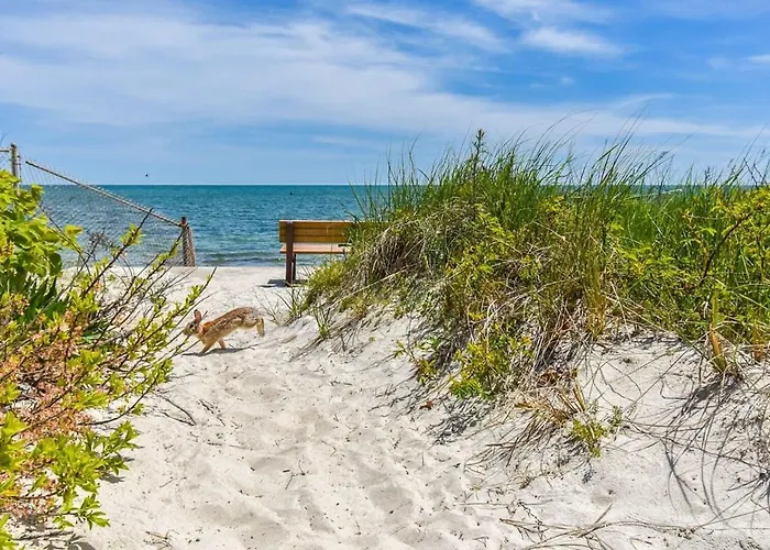 Stylish Home Dog Friendly Close To Beach