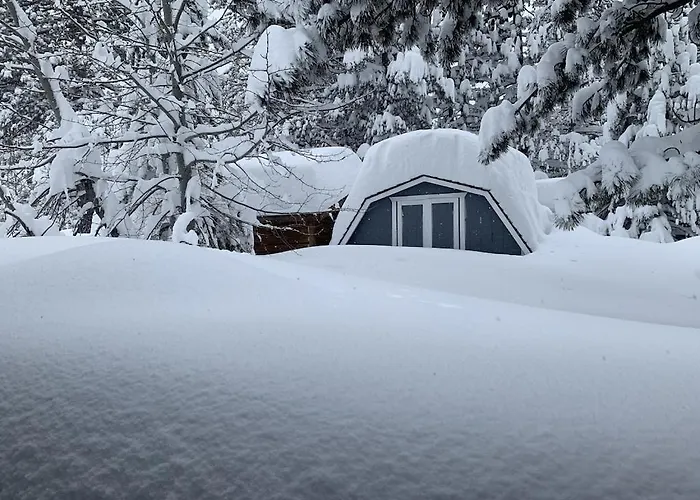 Tahoe Cottage Perfect For Couples And Outdoor Enthusiasts