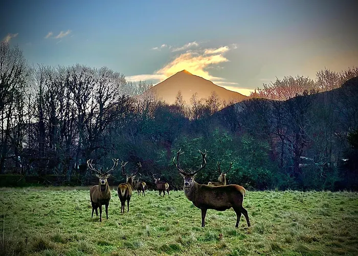 Loch Rannoch Highland Club