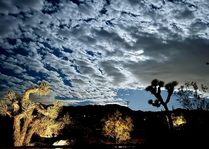 10 Minutes To Jtnp - Saltwater Float Pool, Hot Tub, Telescope, Fireplace And Views