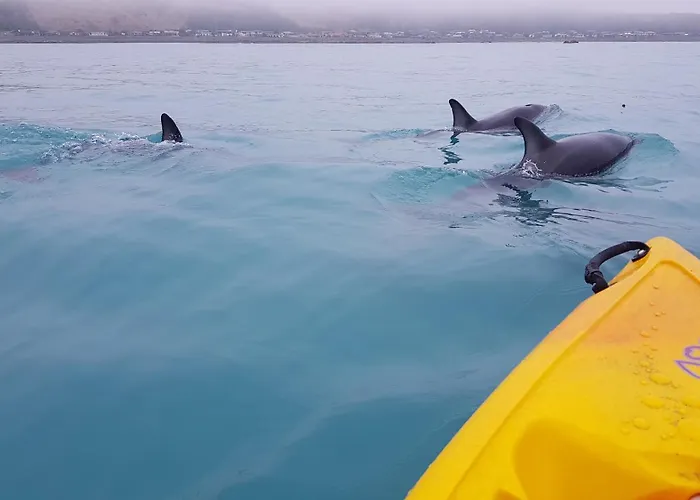K'Orca Cottage By The Sea