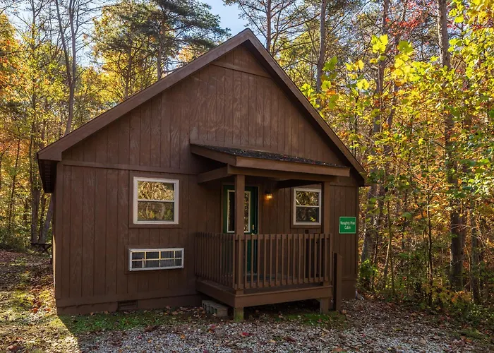 Blue Rose Cabins - Naughty Pine Cabin