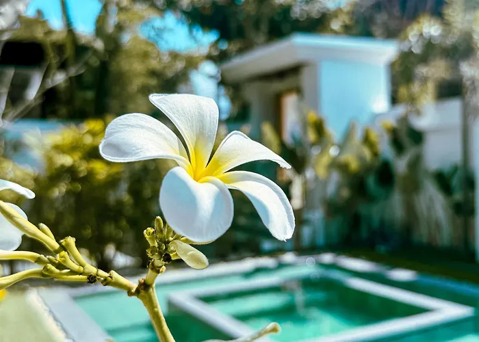Villa Anela