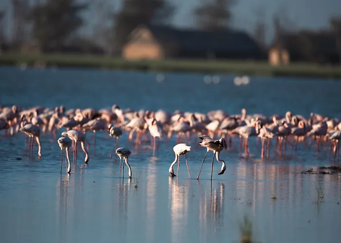 Amboseli House