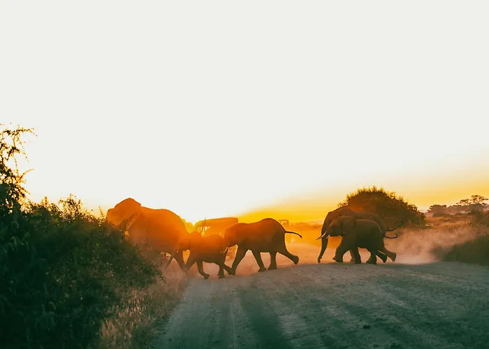 Amboseli House