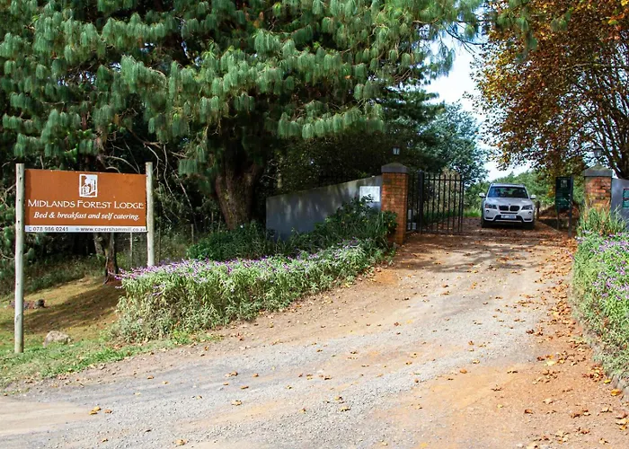 Midlands Forest Lodge