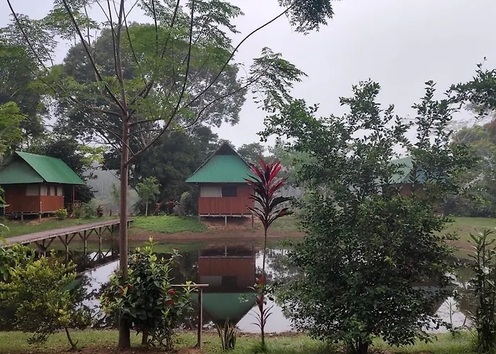 Sunrise Of Tambopata