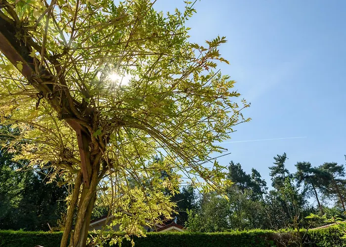 Luxe en comfort aan bos - geniet van rust&natuur