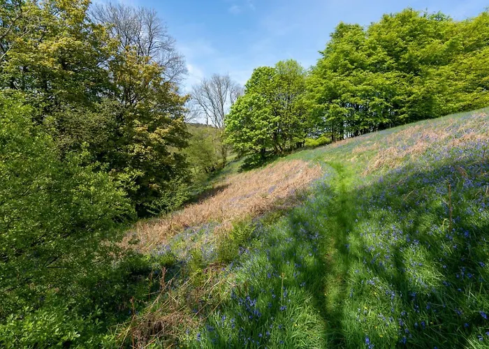 Brynarth Country Cottages