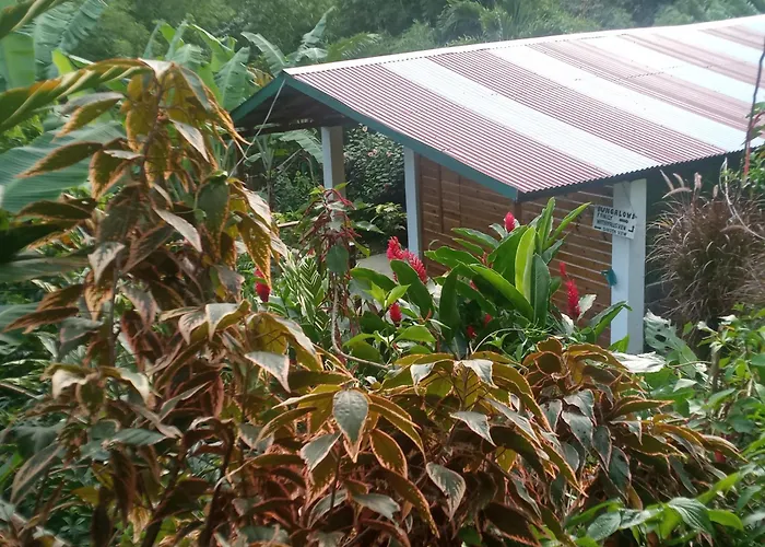 Berkey'S Jungle Paradise Resort