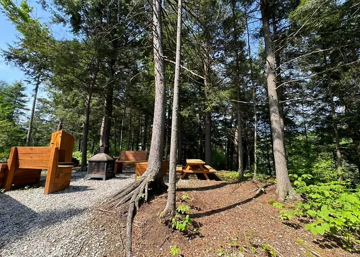 Cabin Zoobox 82