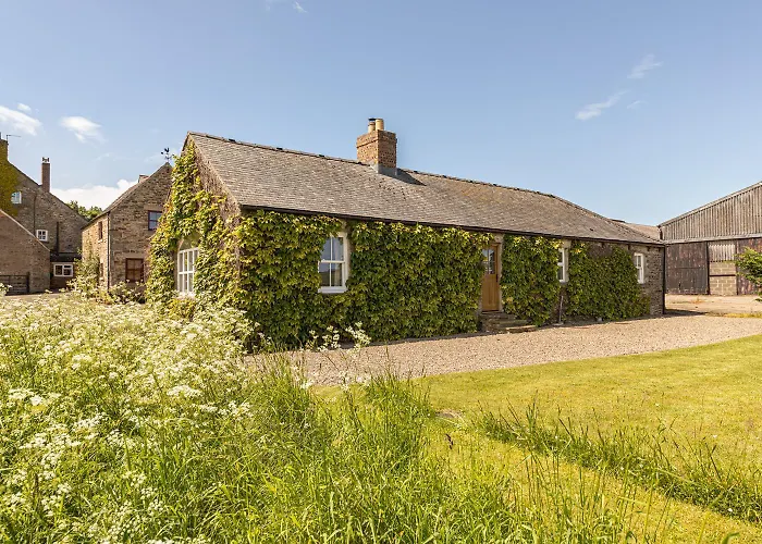 Swallows' Barn
