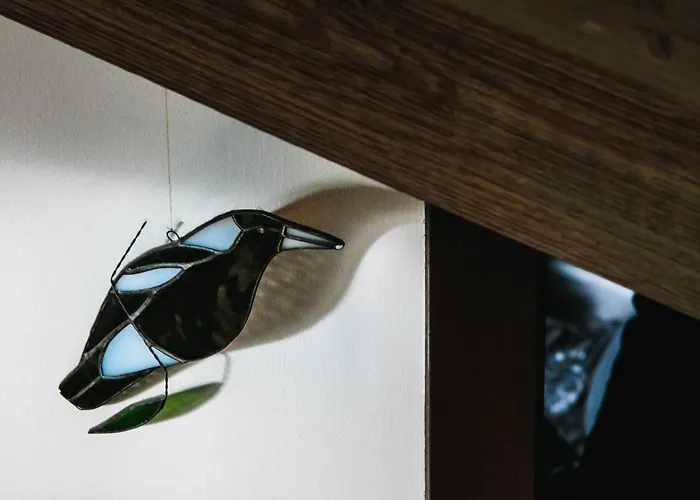 Magpies Nest