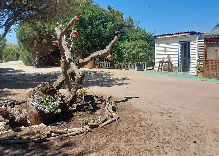 En Finca Las Dunas Dos Chalets Con Jacuzzis En Primera Linea De Playa , Uno De 4 Dormitorios Y Otro De 2 Dormitorios, Llama Al Seiscientos Veintisiete Cuatrocientos Diecisiete Trescientos Noventa Y Ocho