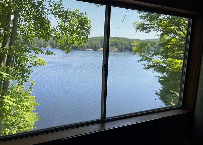 Camp Lake Bear