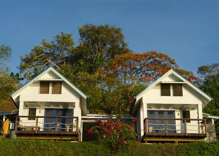 Bougainvilla Savusavu