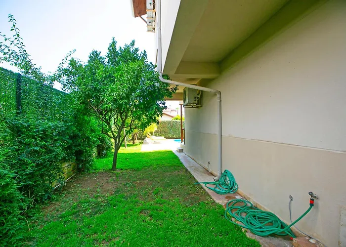 Paradise Town Villa Orchard