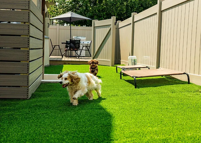 The Cooper Home, Dogs Welcome!