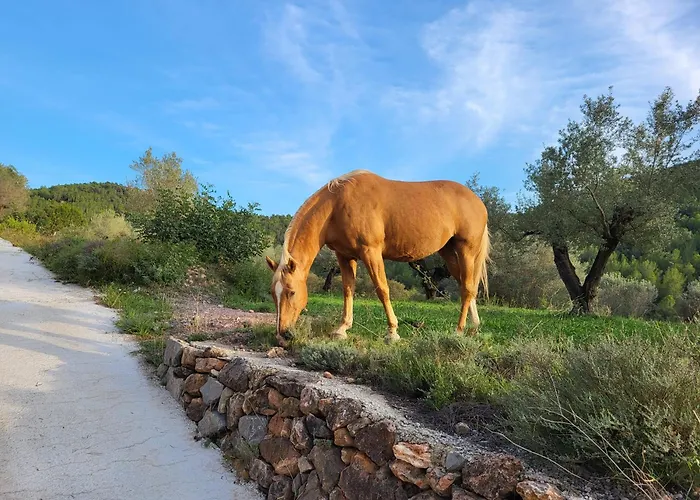 Masia de Matuta