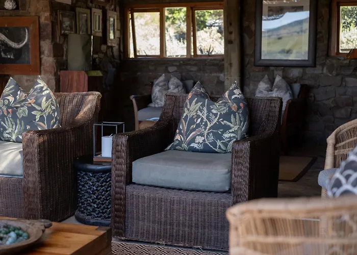 Hillsnek Safari Camp - Amakhala Game Reserve