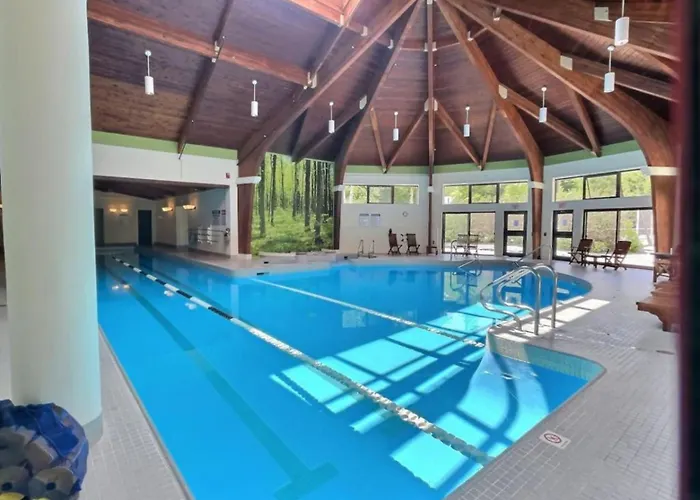 Firbear- Pool Gym Fireplace Hot Tub