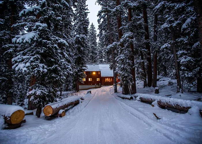 Cabin On The Edge Of Forever