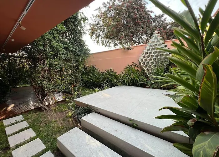 Oasis In The Heart Of Lima