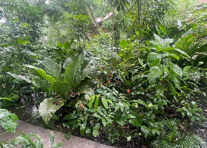 Casa Y Cabana Jaguar Tortuguero