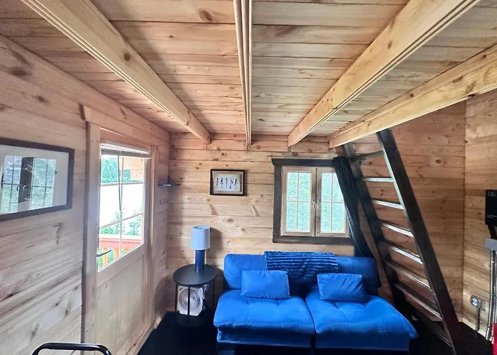 Twin Cabins-Trout And Grayling