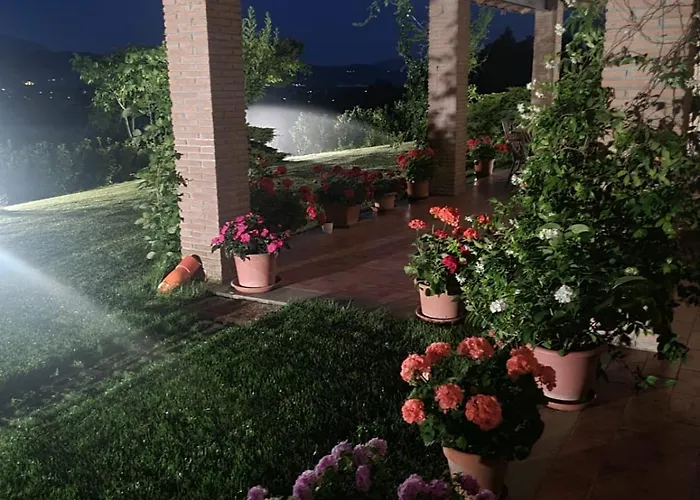 Agriturismo Tognoloni
