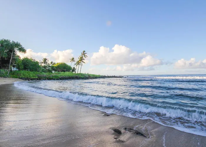 Prince Kuhio 110