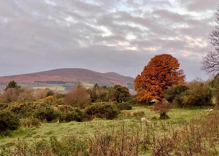 Tranquil Tigin - Your Little Holiday In Wicklow