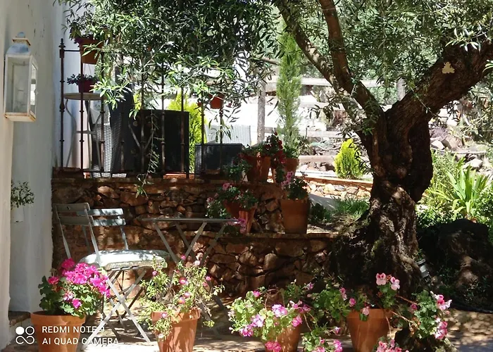 Finca La Favorita