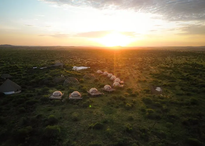 Kuoom Serengeti