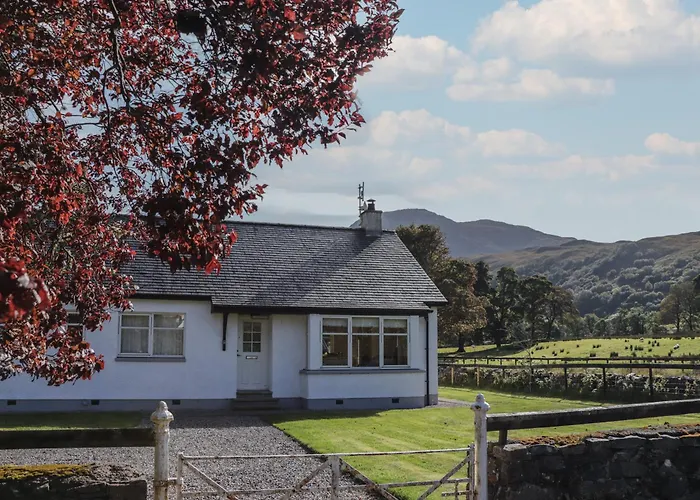 Tigh Na Drochit