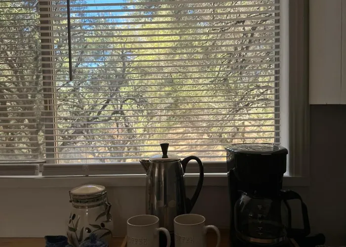 Trees Of Heaven - Olive House