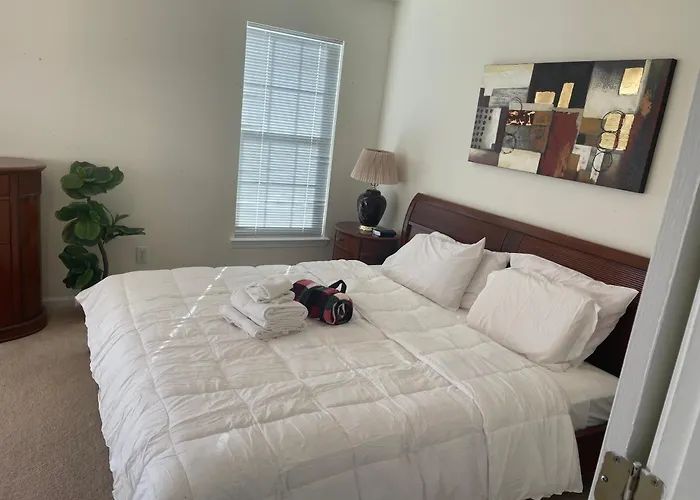 Charming Entire 3 Bedrooms House With Ac And Wifi