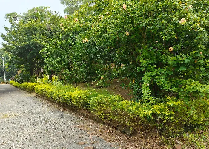 Perch Villa Homestay