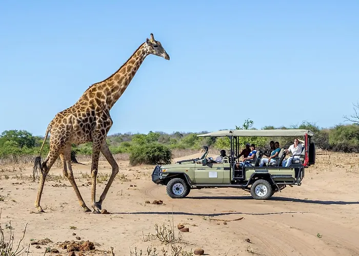 Elephant Valley Lodge
