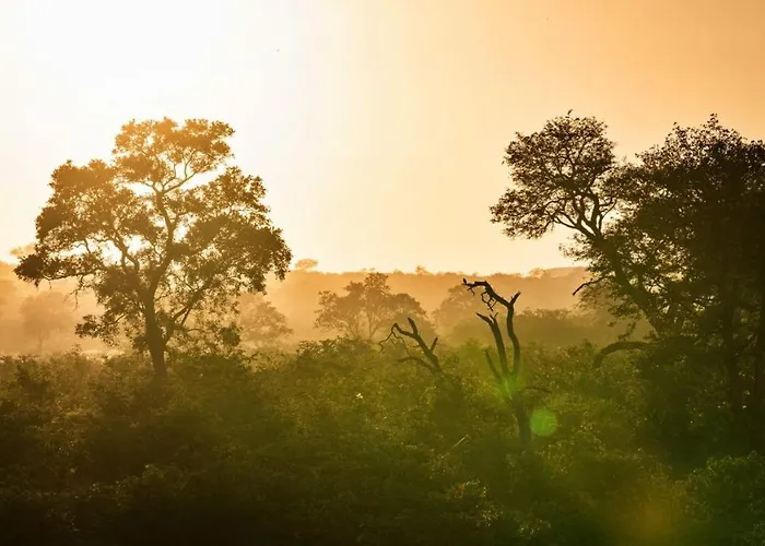 Geiger'S Camp In Timbavati Game Reserve By Newmark