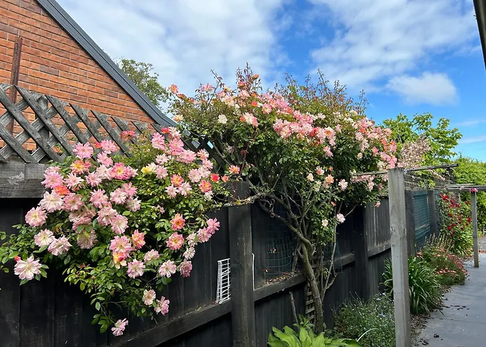 Sunny Garden Retreat - 3-Br Home Near Mall, City & Airport