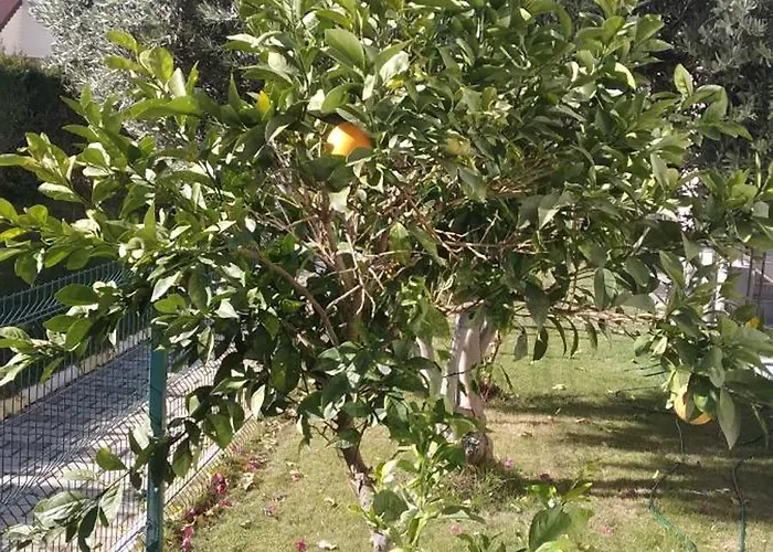 Villalemoon