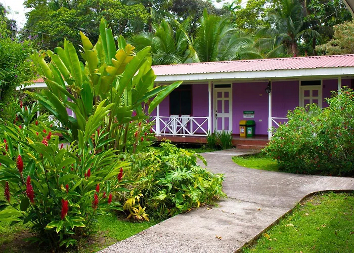 Valverde Tortuguero