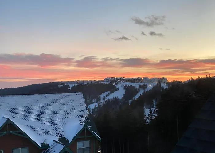 Ski In And Out, Pet And Kid Friendly, Slope Side Townhouse