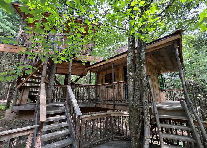Little Birds Treehouse
